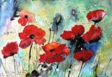 47 - Diane Poole - Poppies, No. 3 - Watercolour.jpg